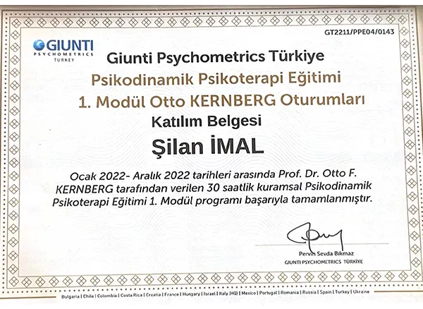 Giunti Psychometrics Sertifikası 01