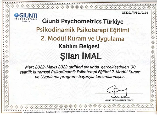 Giunti Psychometrics Sertifikası 02