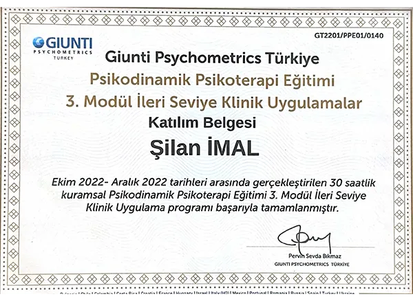Giunti Psychometrics Sertifikası 03