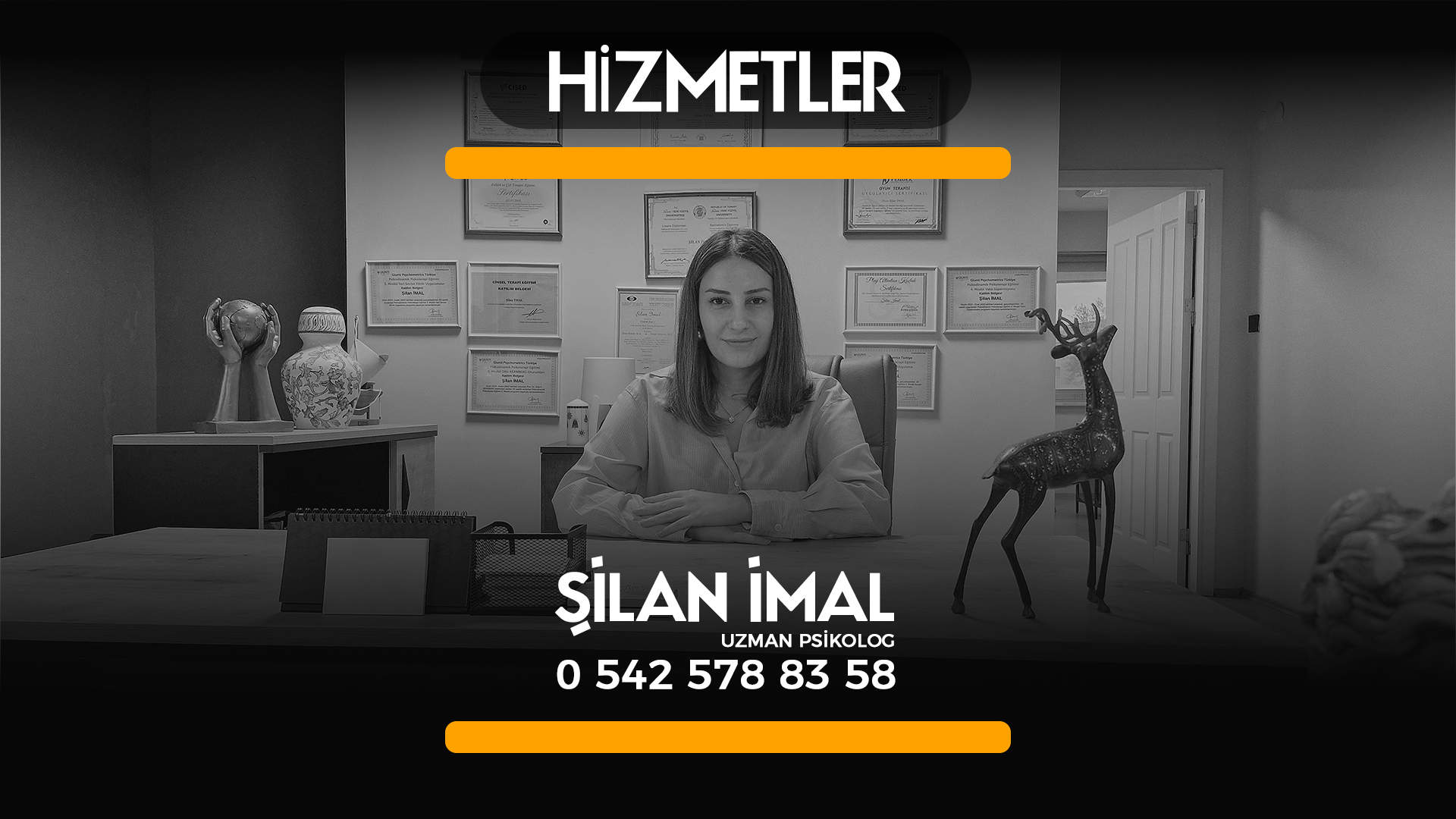 Yetişkin Danışmanlığı